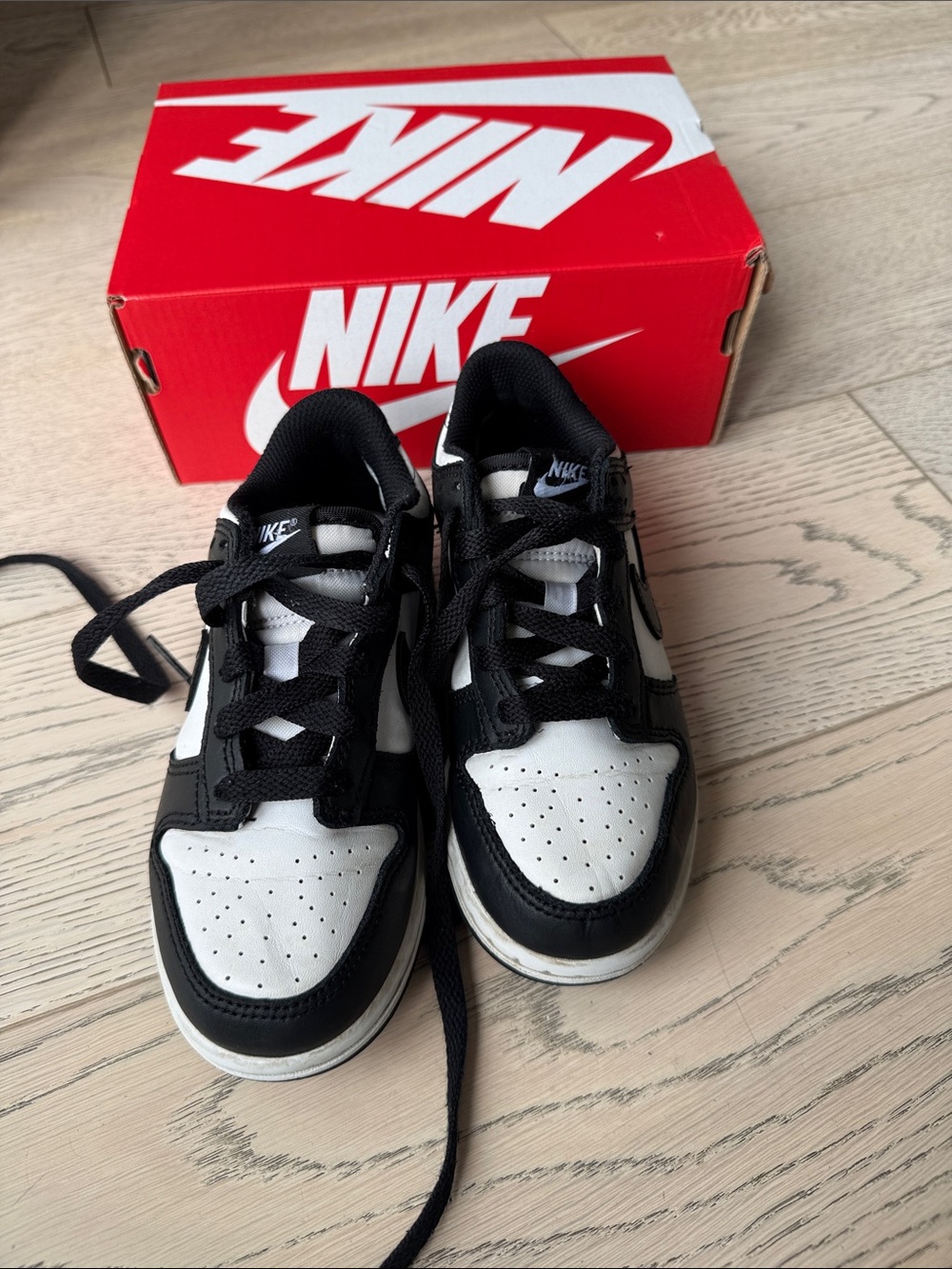 Nike Dunk Low.
